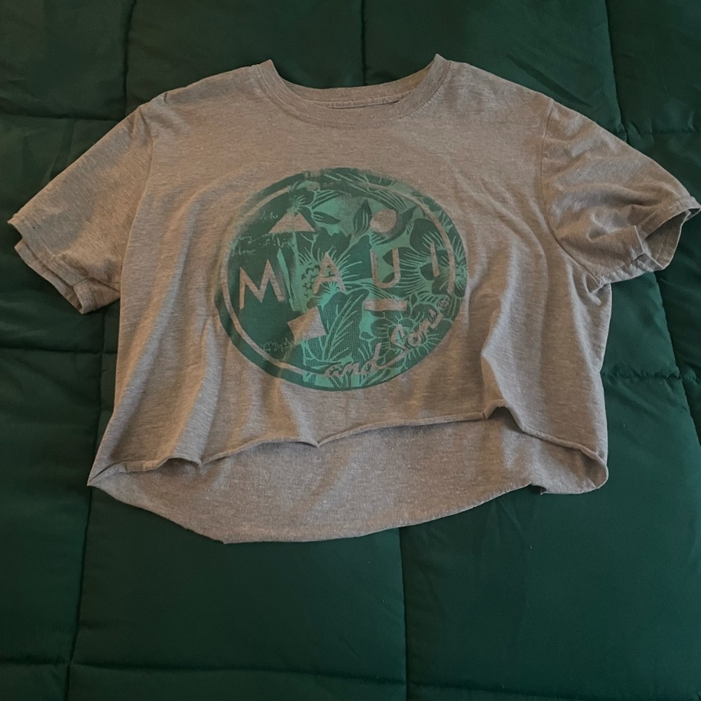 Originally long sleeve, made it into a crop top, size medium